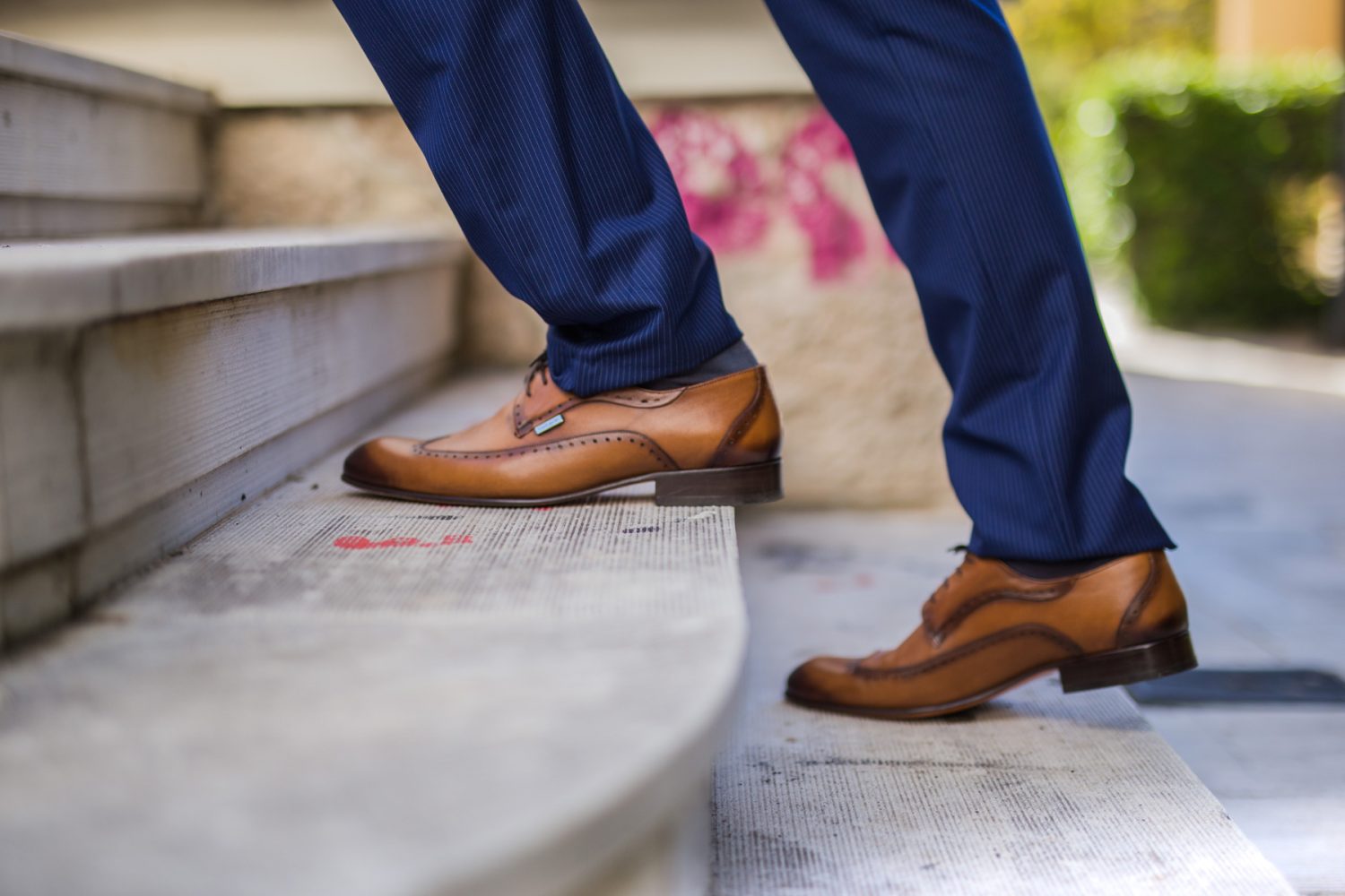 gentleman experts